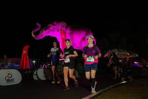 BIB: 
                            <button type="button" onclick="openModal(26543785)" class="btn btn-primary btn-sm float-right btn-popup" data-toggle="modal" data-target=".modal-high-quality">
                        <i class="fas fa-shopping-cart"></i> Add to Cart
                    </button>
                                            <button type="button" onclick="isThisMe(26543785, true)" class="btn btn-success btn-sm float-right btn-popup btn-isme hidden" data-toggle="tooltip" data-placement="bottom" title="นี่คือรูปของคุณใช่ไหม คลิกที่นี่เพื่อเอาเข้าอัลบั้ม">
                        <i class="fas fa-plus"></i> Add to album
                    </button>
                    <button type="button" onclick="isThisMe(26543785, false)" class="btn btn-warning btn-sm float-right btn-popup btn-isnotme hidden">
                        <i class="fas fa-ban"></i> Remove from album
                    </button>